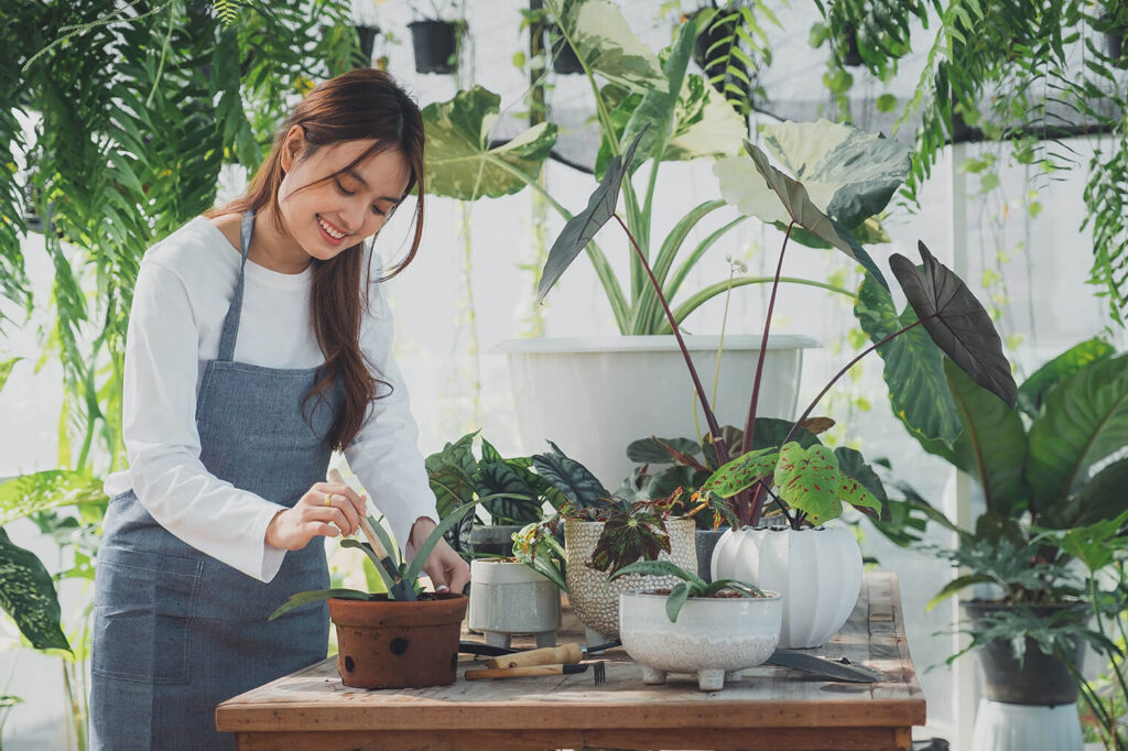 Full Service Lawn Care: Young woman caring for potted plants on table in greenhouse.