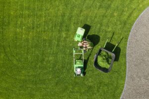 Turf Care Tips and Tricks featuring Backyard Garden Lawn Mowing and Maintenance Aerial View