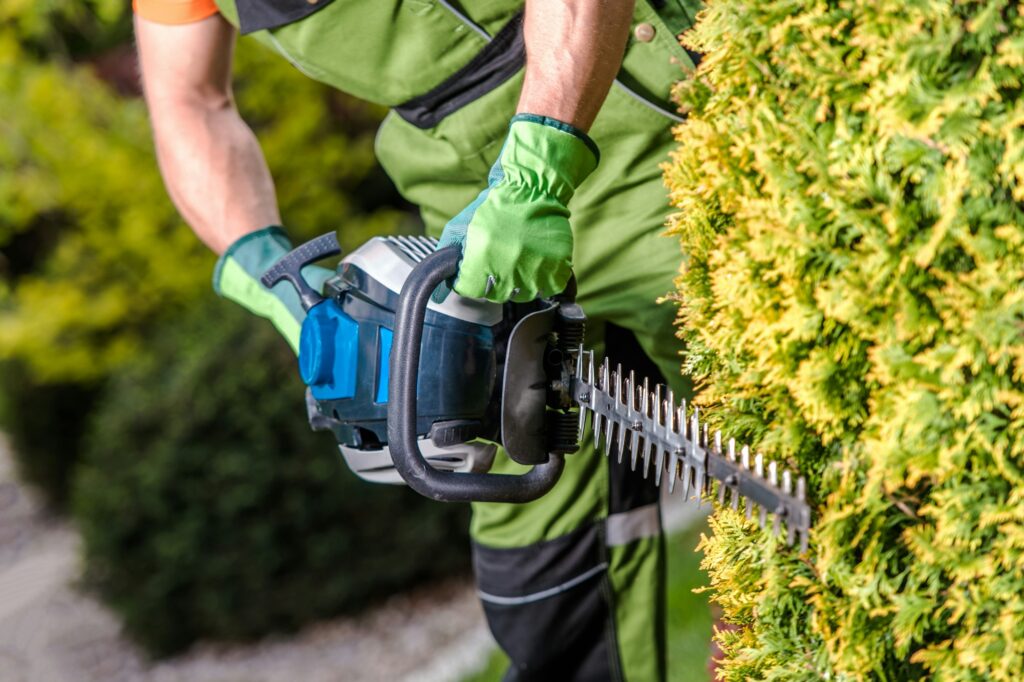 Shaping Garden Trees