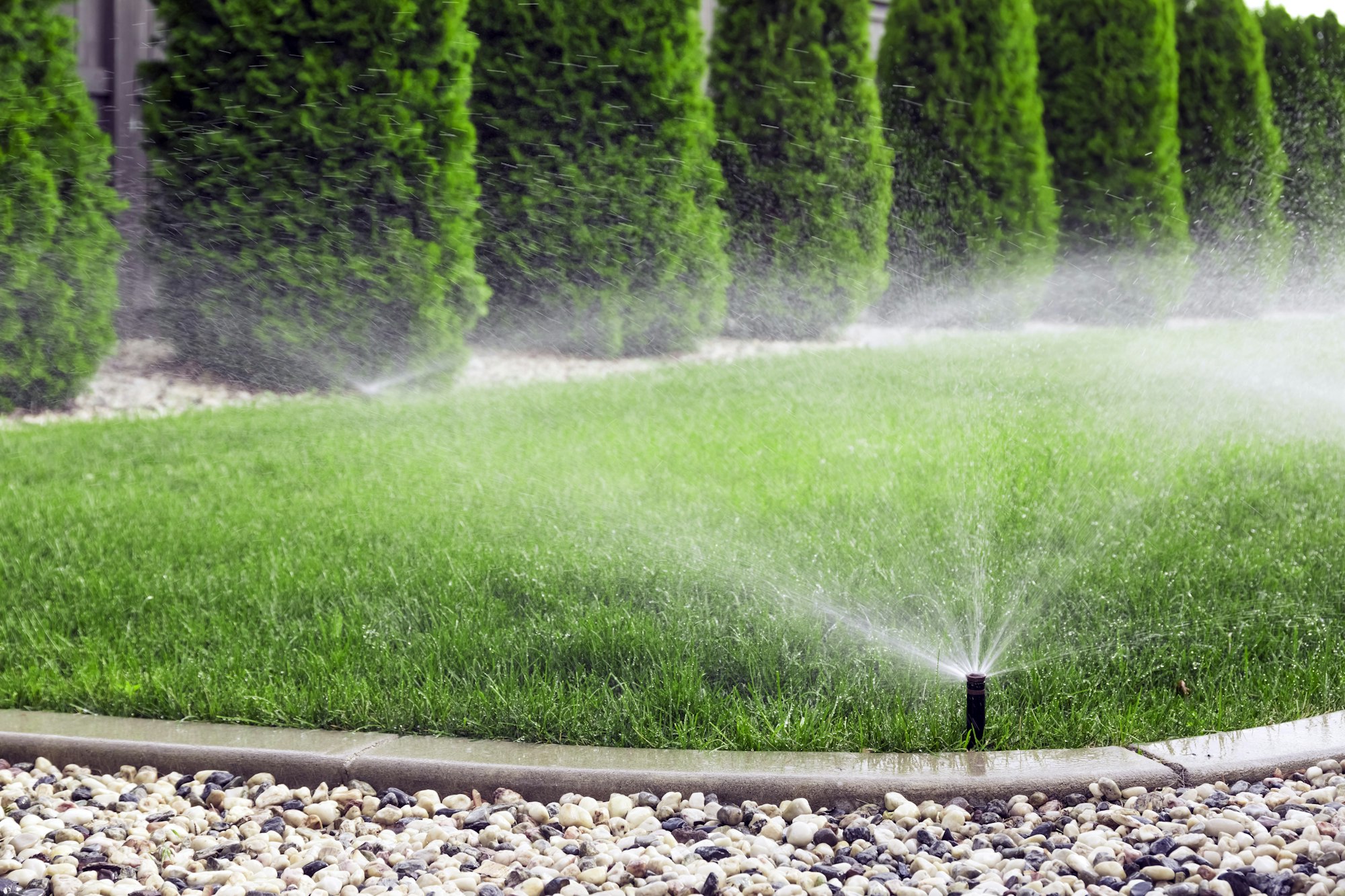 Sprinklers watering lawn