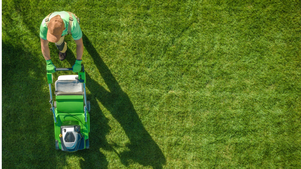 Why Local Lawn Care Experience Matters in Lafayette