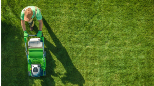 Local lawn care specialist mowing lawn from aerial view