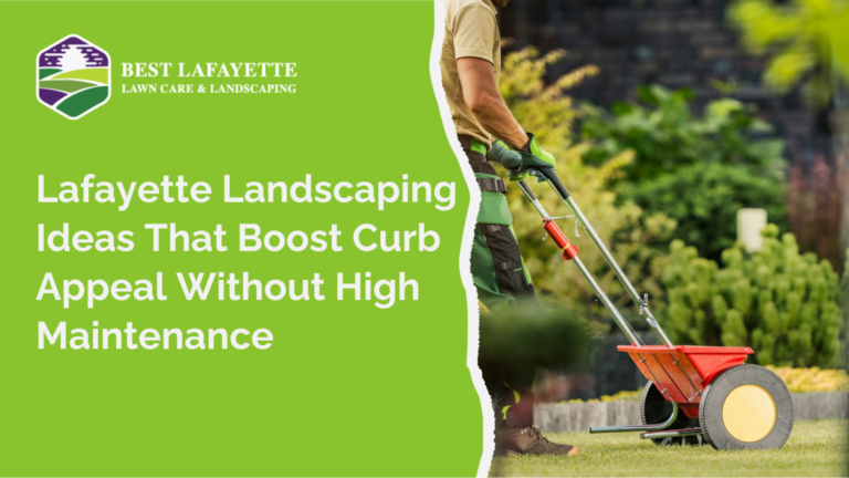 Lafayette Landscaping Ideas
