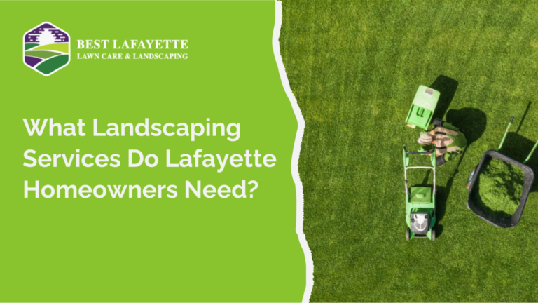 Landscaping Services Do Lafayette Homeowners Need