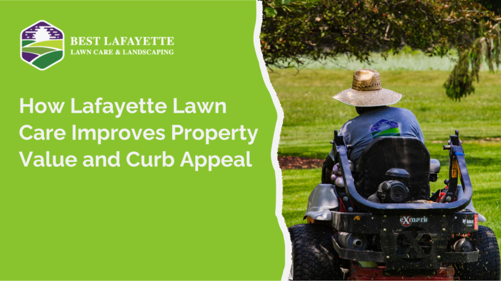 How Lafayette Lawn Care Improves Property Value and Curb Appeal