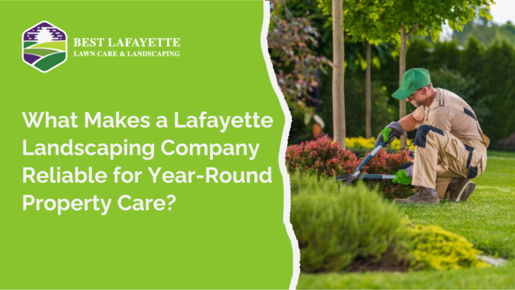 What Makes a Lafayette Landscaping Company Reliable for Year-Round Property Care?