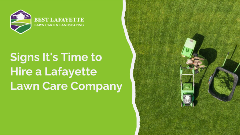 Hire a Lafayette Lawn Care Company