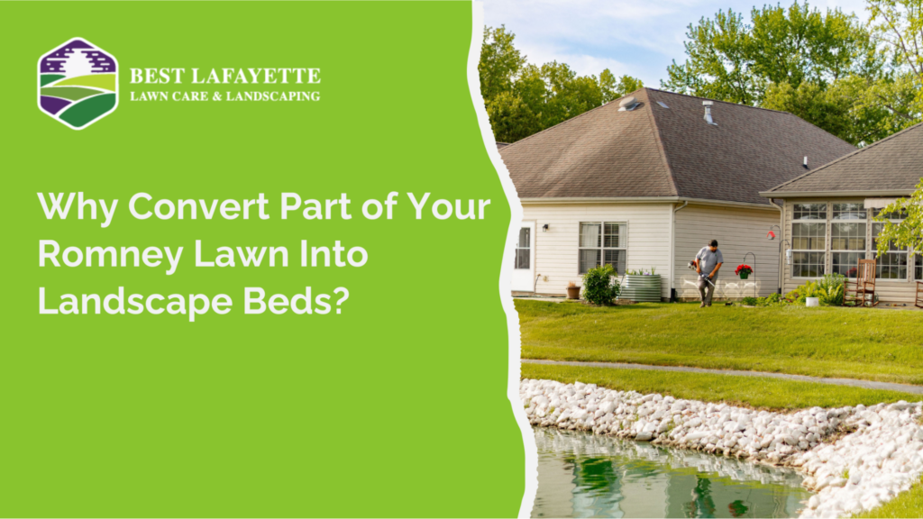 Why Convert Part of Your Romney Lawn Into Landscape Beds?
