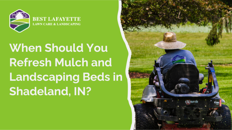 Landscaping Beds in Shadeland