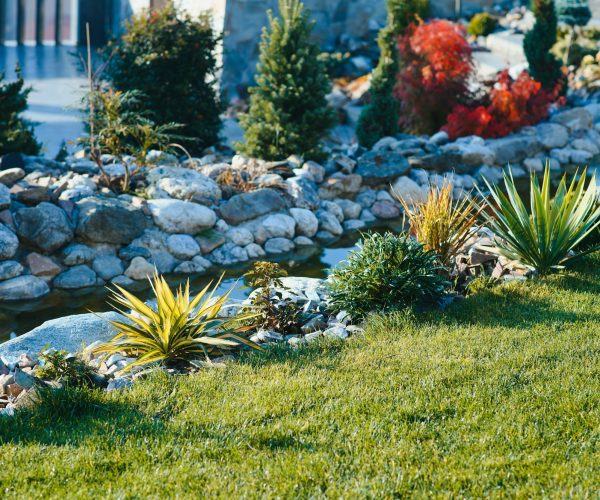 Landscape Design and Installation. Backyard Garden Modern Design Landscaping. Landscaped Back Yard